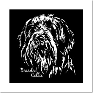 Bearded Collie dog lover dog portrait Posters and Art